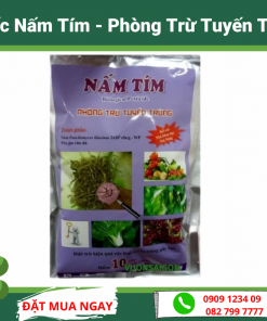 Thuoc Nam Tim