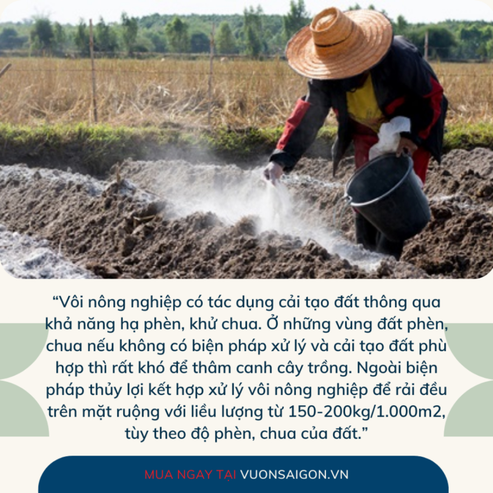 Voi Bot Nong Nghiep (1)