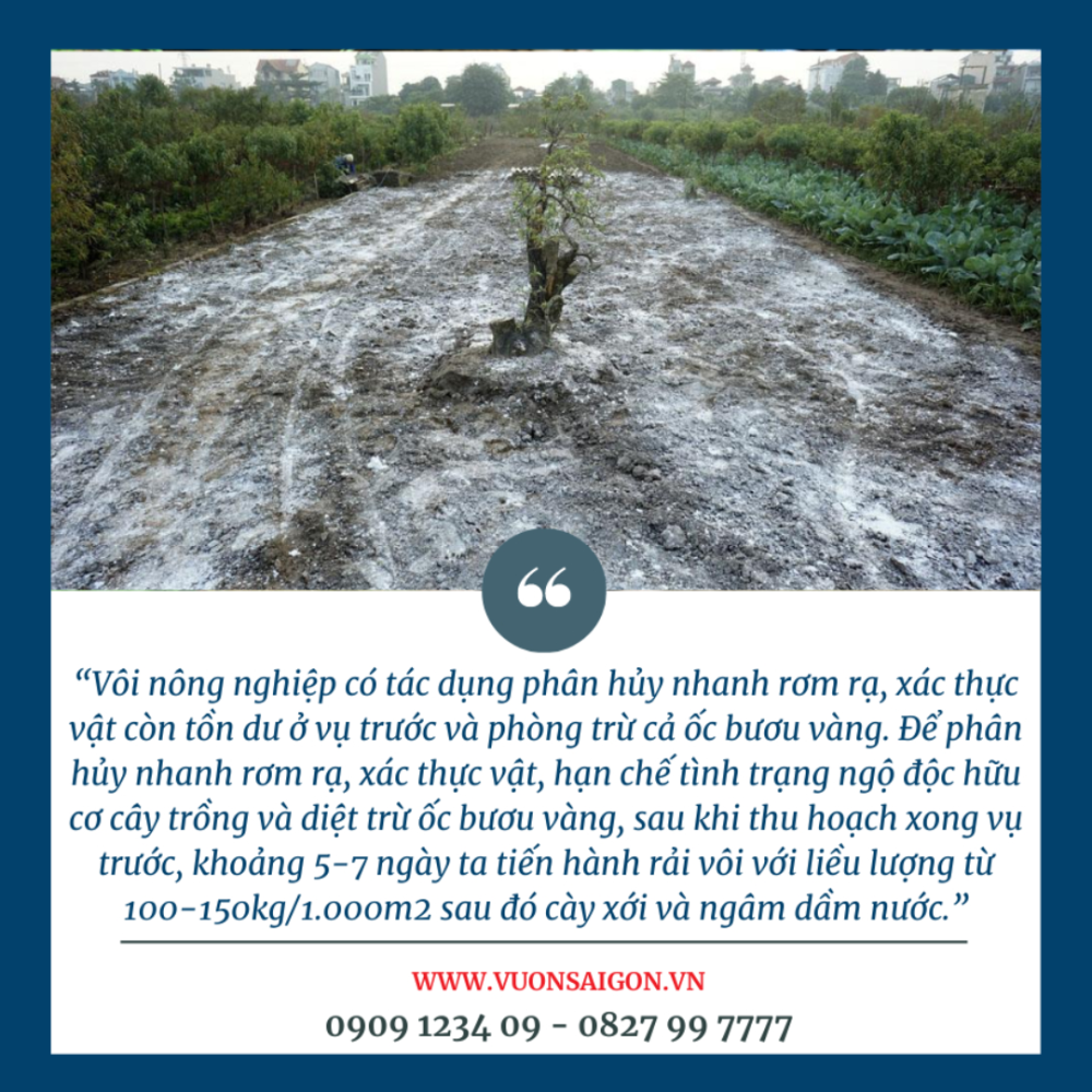 Voi Bot Nong Nghiep (2)