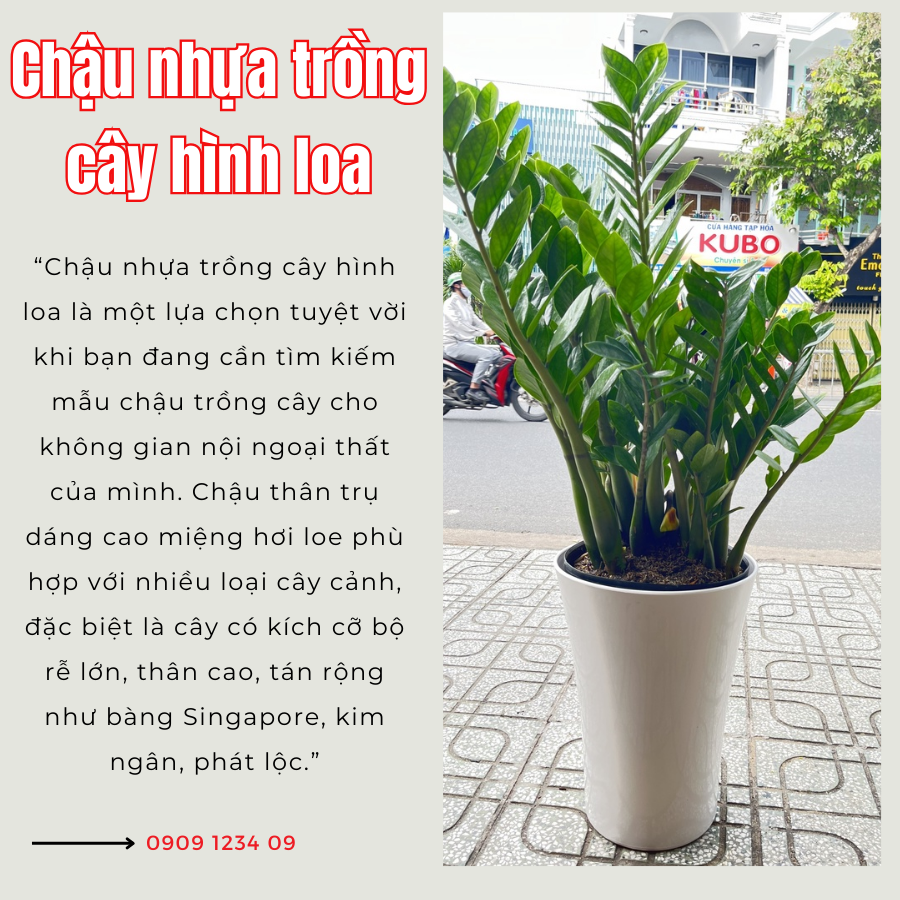 Chau Loa Trong Cay (1)