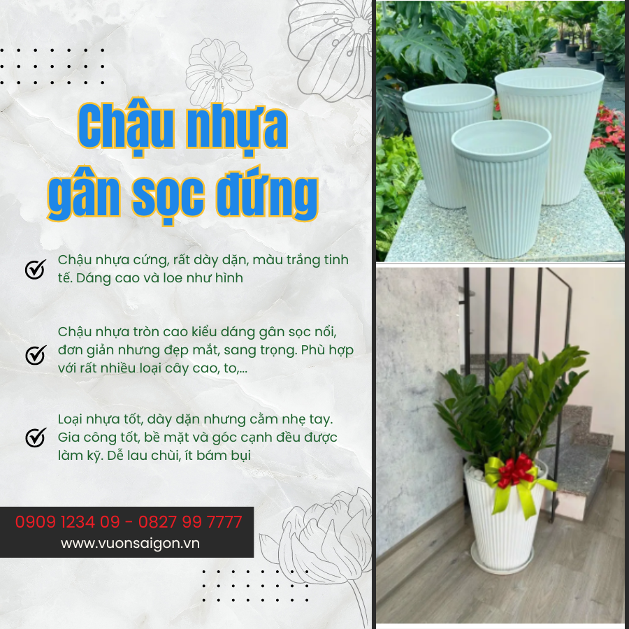 Chau Nhua Gan Soc Dung (1)