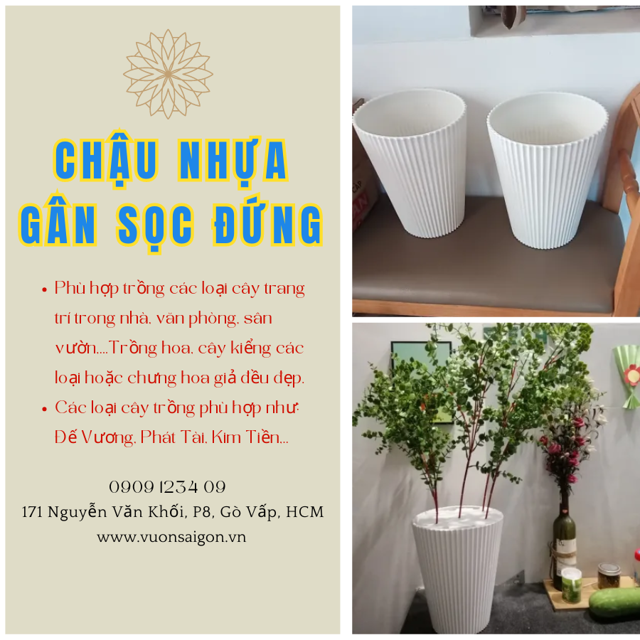 Chau Nhua Gan Soc Dung (3)