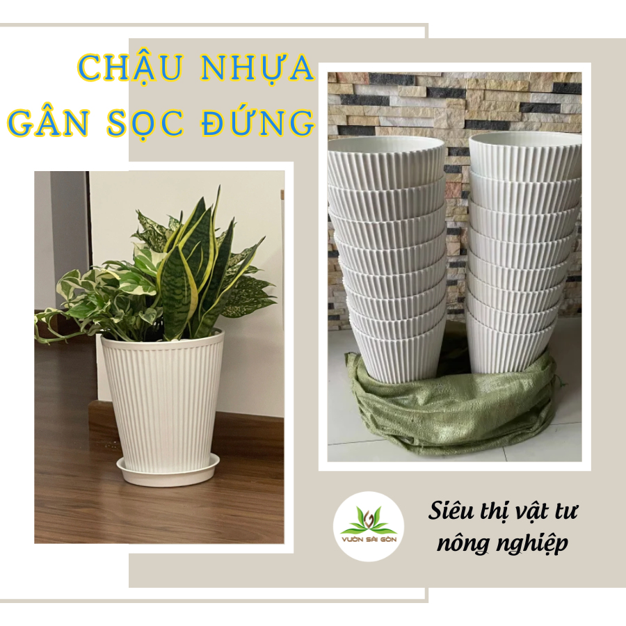 Chau Nhua Gan Soc Dung (4)