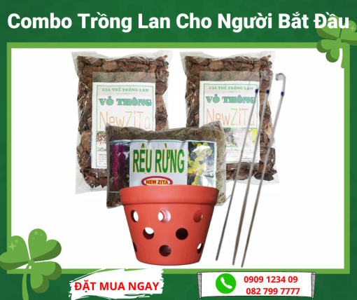 Combo Trong Lan Cho Nguoi Bat Dau