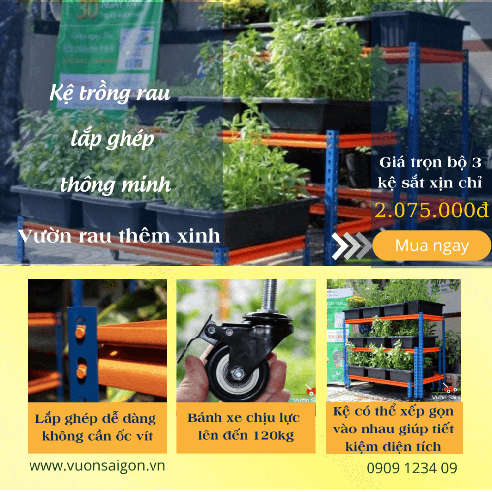Ke Lap Ghep Thong Minh