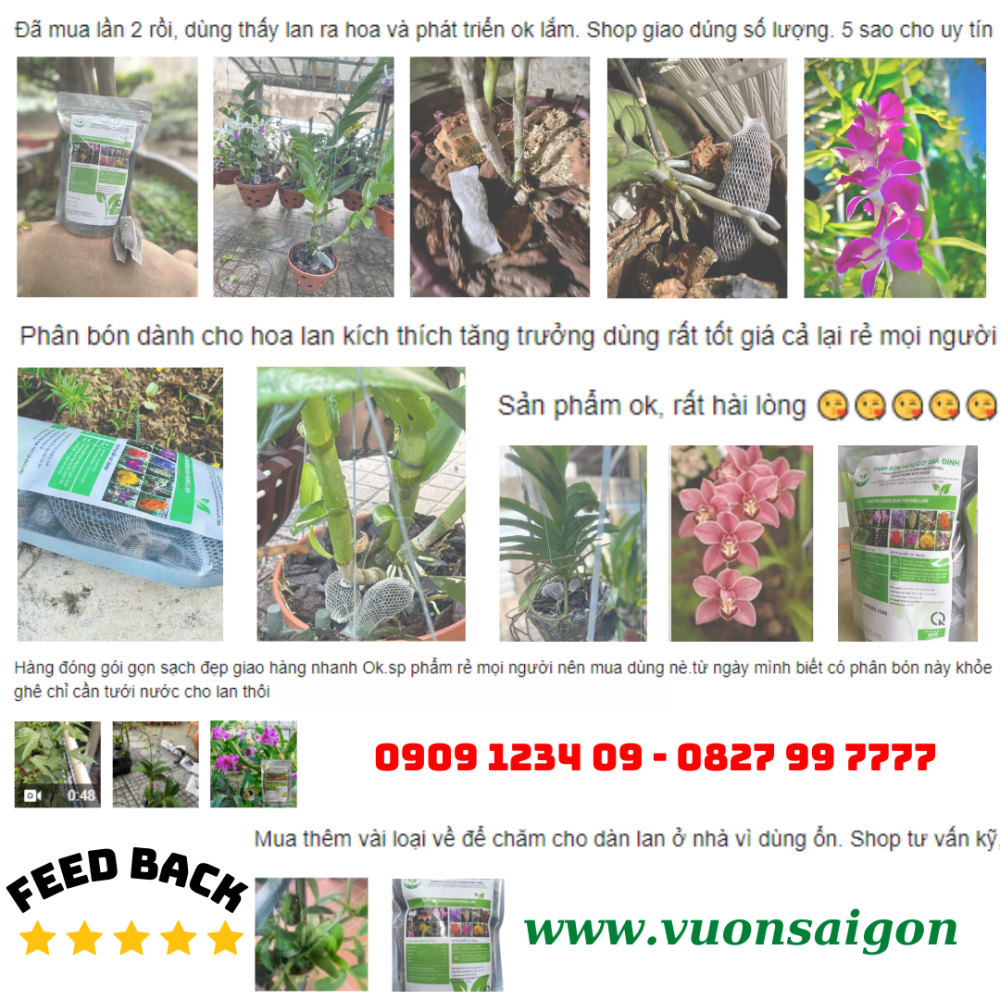 Phan Bon Huu Tui Luoi Cho Lan