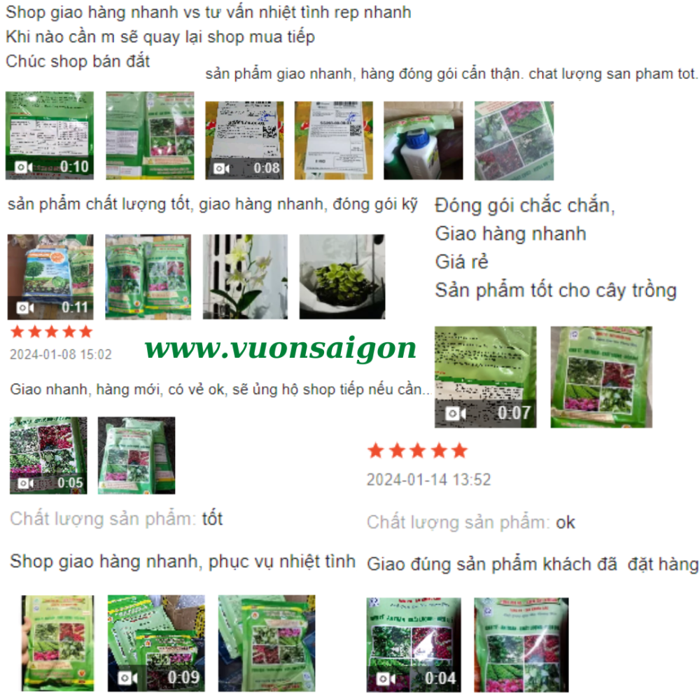 Phan Bon Tinh Voi 98
