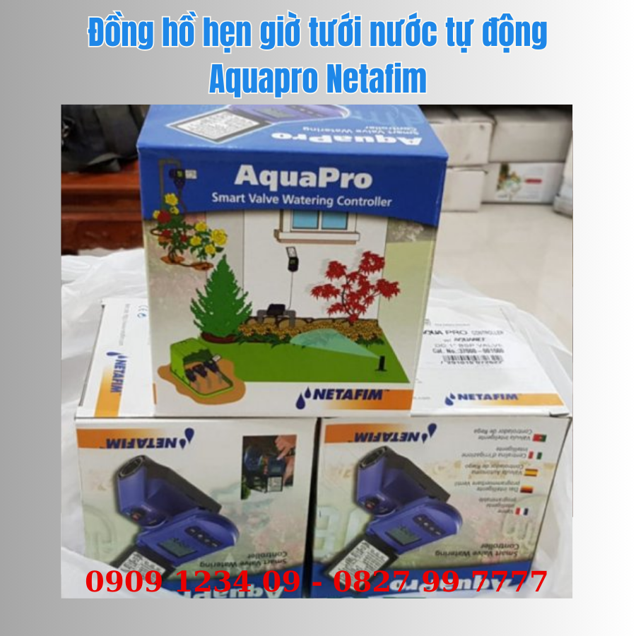 Dong Ho Hen Gio Tuoi Nuoc