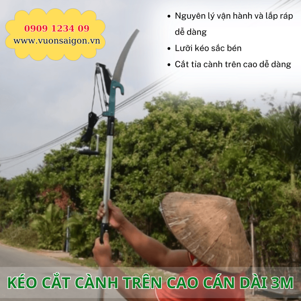 Keo Giat Canh Can Dai 3m (1)