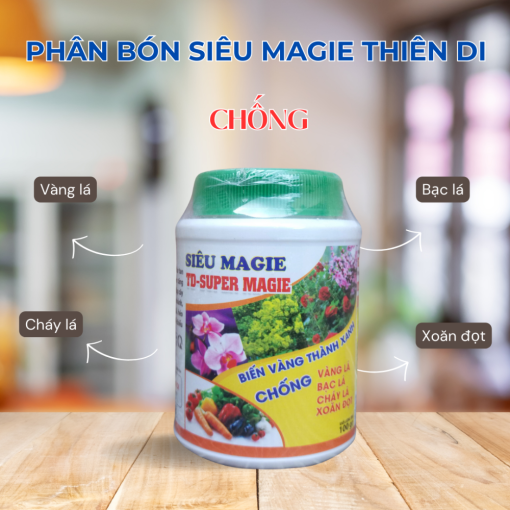 Phan Bon Sieu Magie Thien Di (1)
