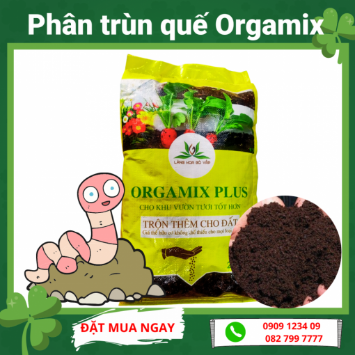 Phan Trun Que Orgamix