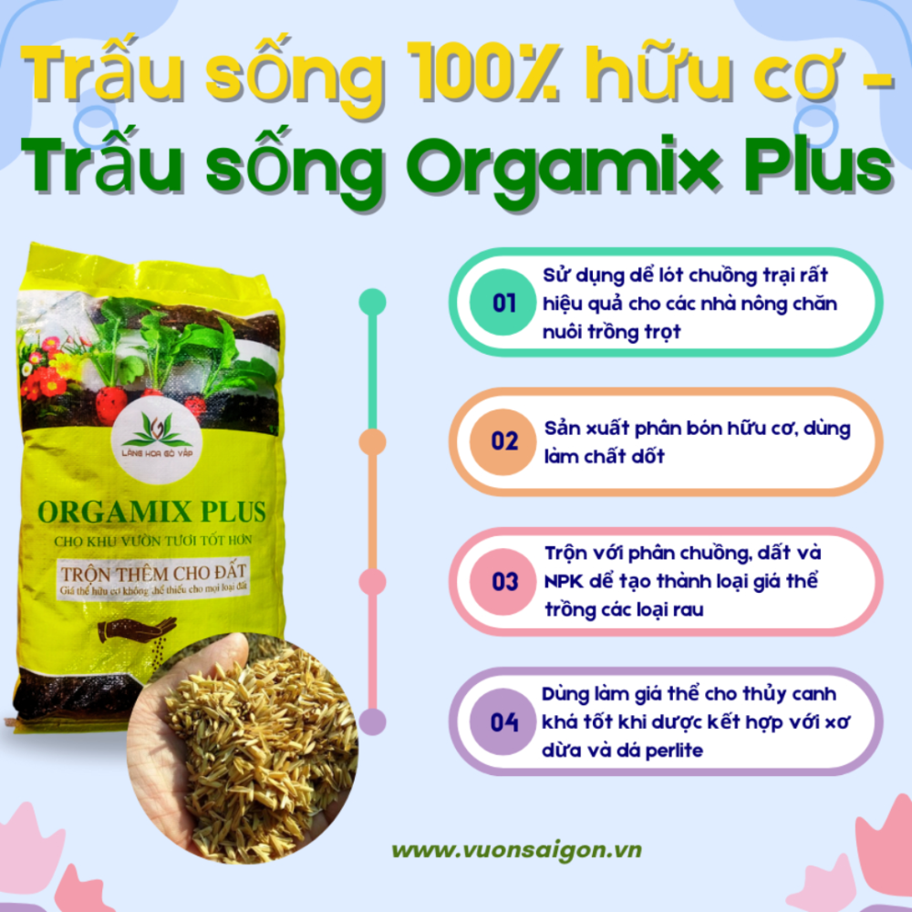 Trau Song (2)