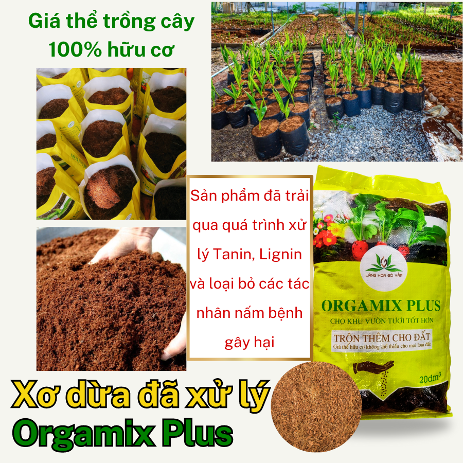 Xo Dua Da Xu Ly Orgamix Plus (3)