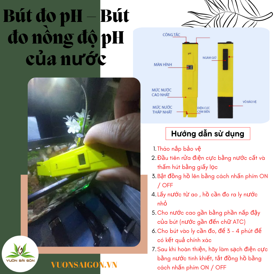 But Do Nong Do Ph (6)