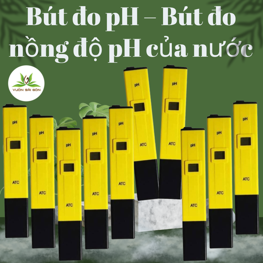 But Do Nong Do Ph (8)
