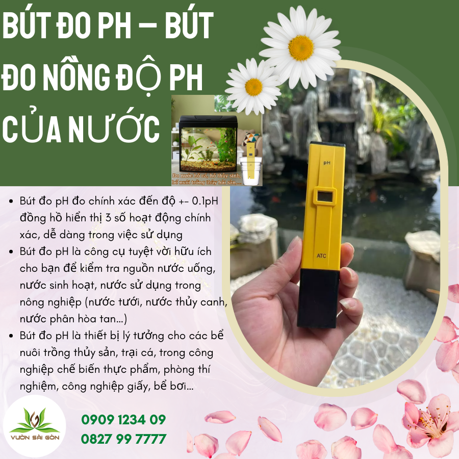 But Do Nong Do Ph (9)
