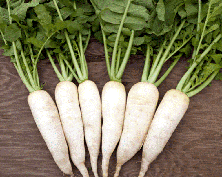 Cách trồng củ cải trắng tại nhà