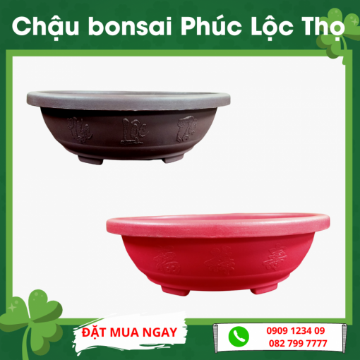 Chau Bonsai Phuc Loc Tho