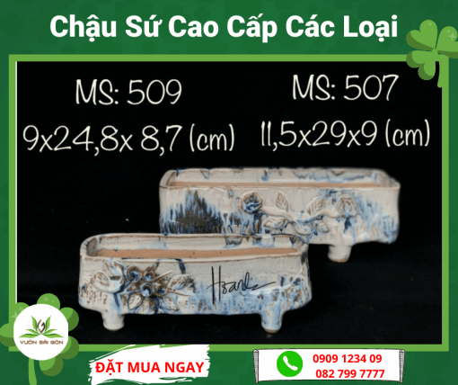 Chau Su Cao Cap Cac Loai (1)