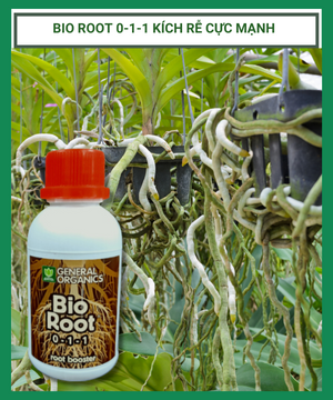 Bio Root 0 1 1 Kich Re
