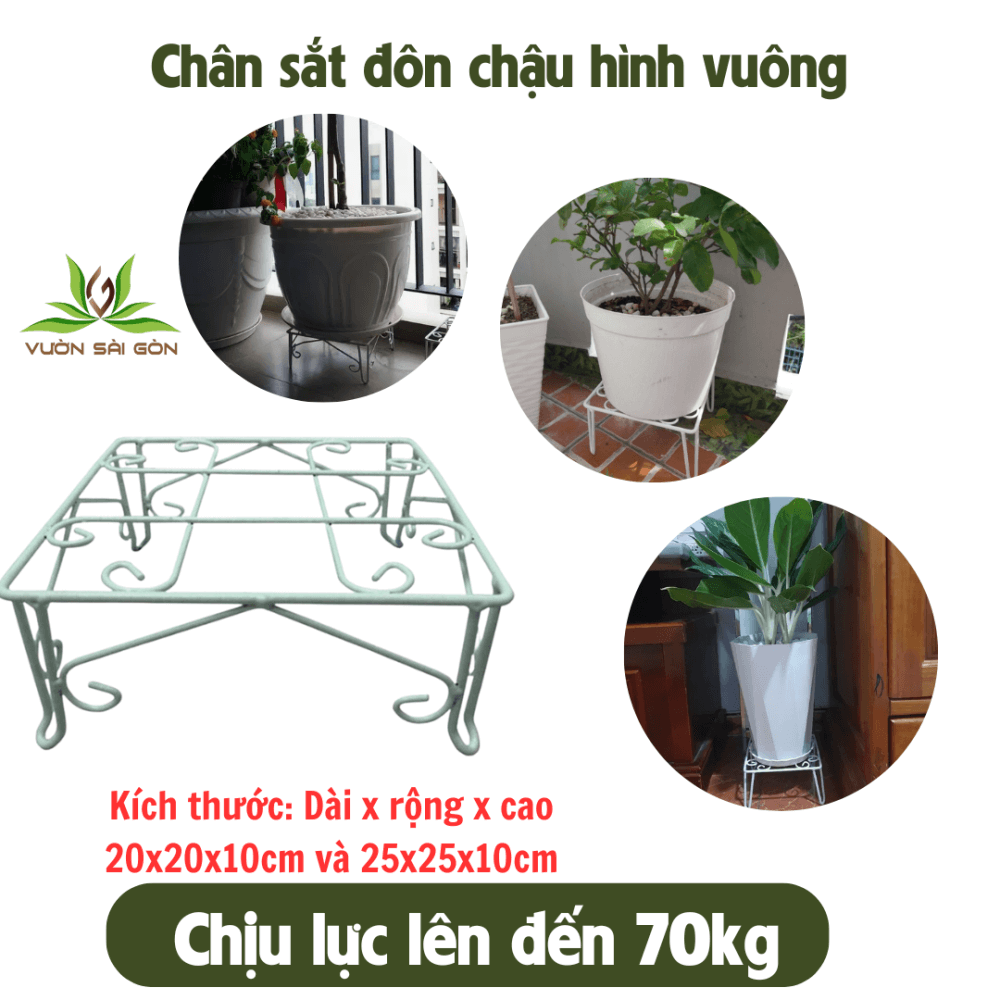 Chan Sat Don Chau Hinh Vuong (1)