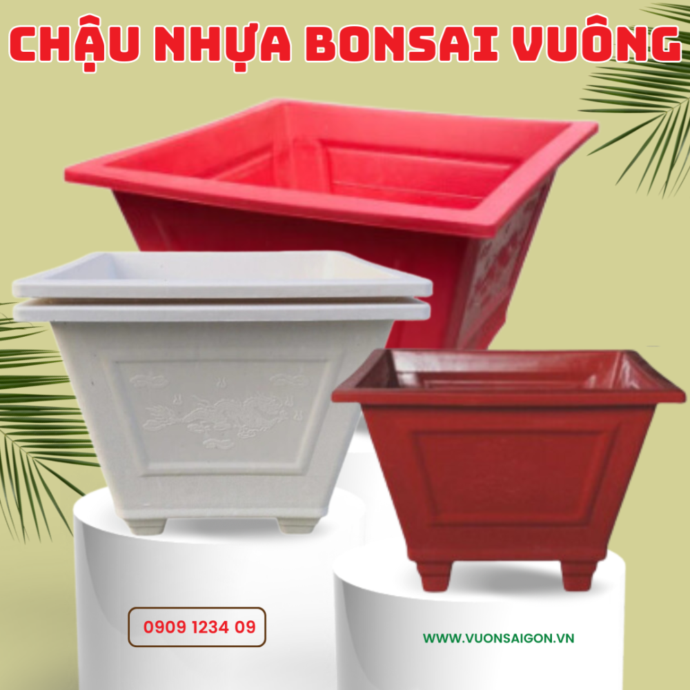 Chau Bonsai Vuong