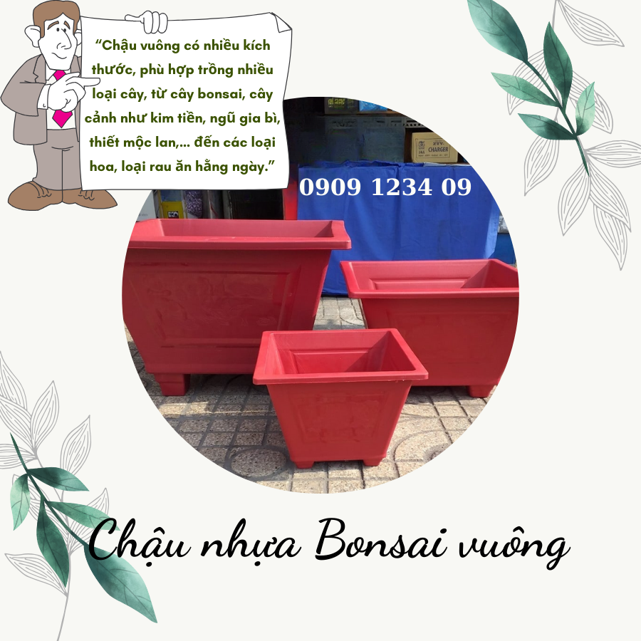 Chau Nhua Bonsai Vuong (2)