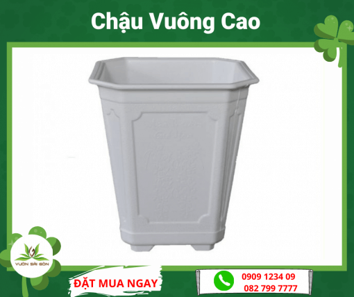 Chau Vuong Cao