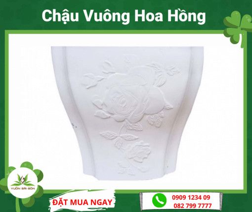 Chau Vuong Hoa Hong