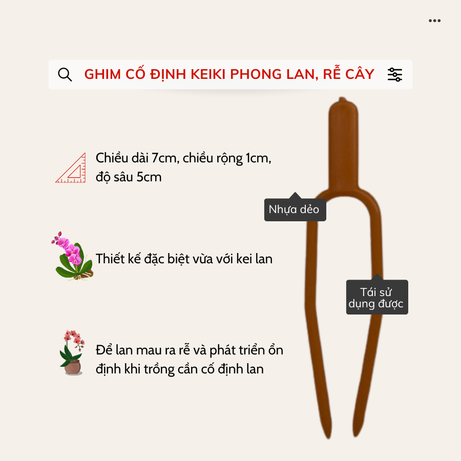 Ghim Co Dinh Kei Lan Cay Thuy Sinh