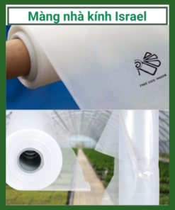 Mang Nha Kinh Israel
