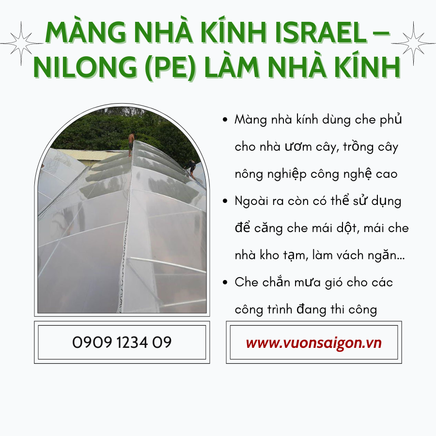Mang Nilon Nha Kinh Israel (1)