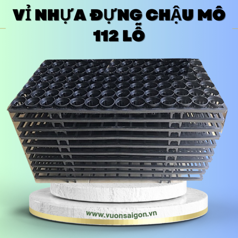 Vi Nhua Dung Chau Mo 112 Lo (5)