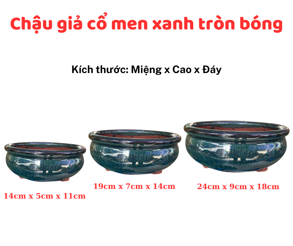 Chau Gia Co Men Xanh Tron Bong