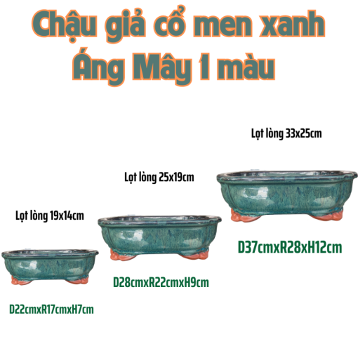 Chau Gia Co Men Xanh (3)