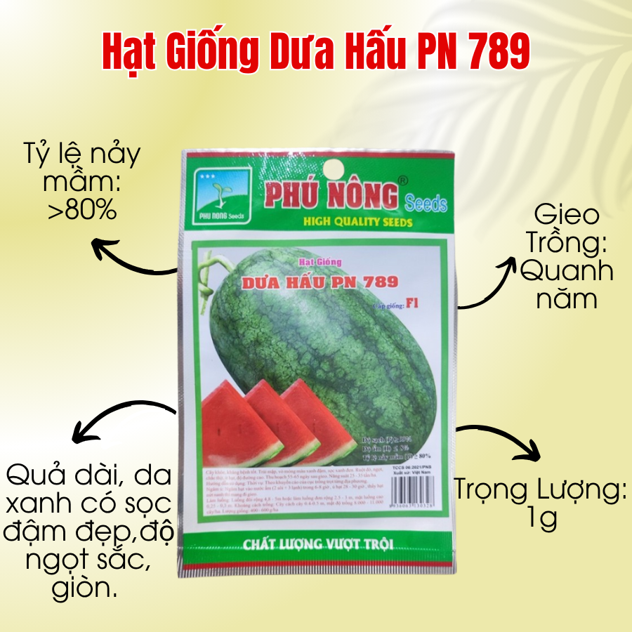 Hat Giong Dua Hau