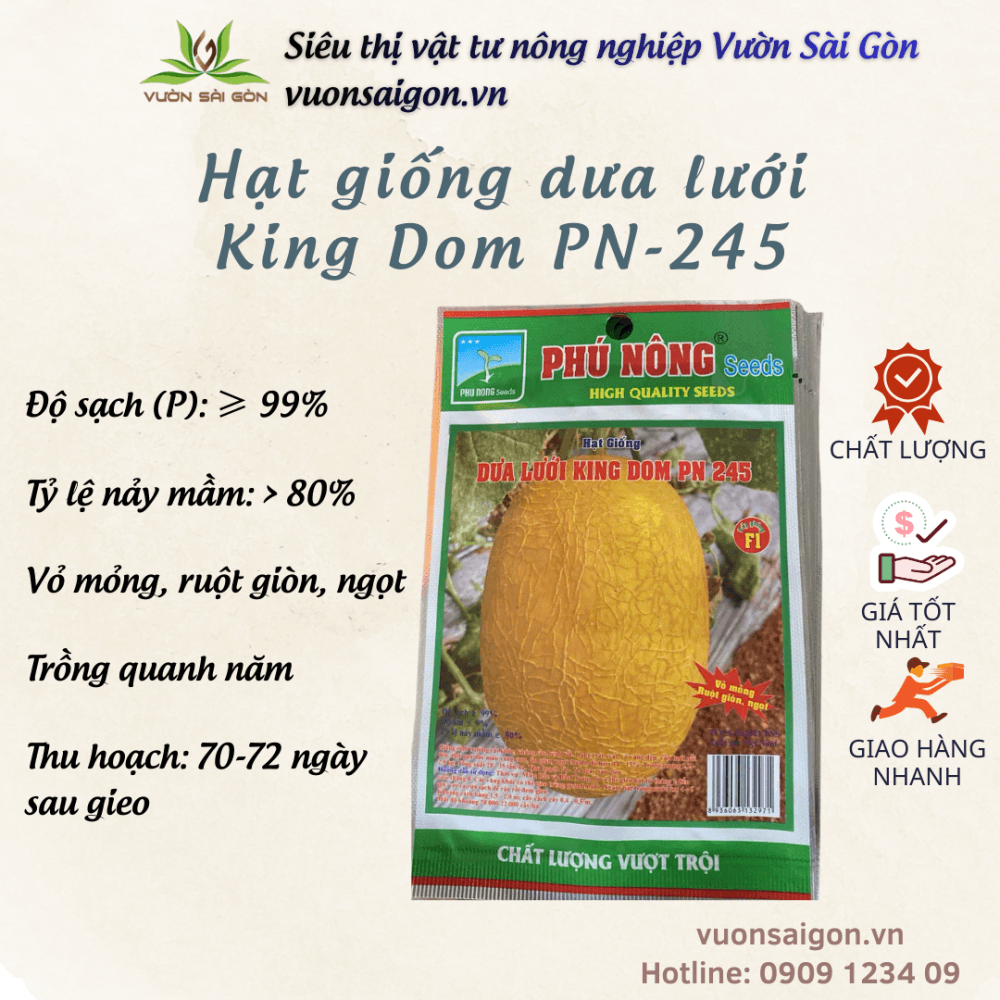 Hat Giong Dua Luoi Pn