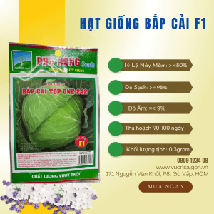Hat Giong0bap Cai F1 (1)