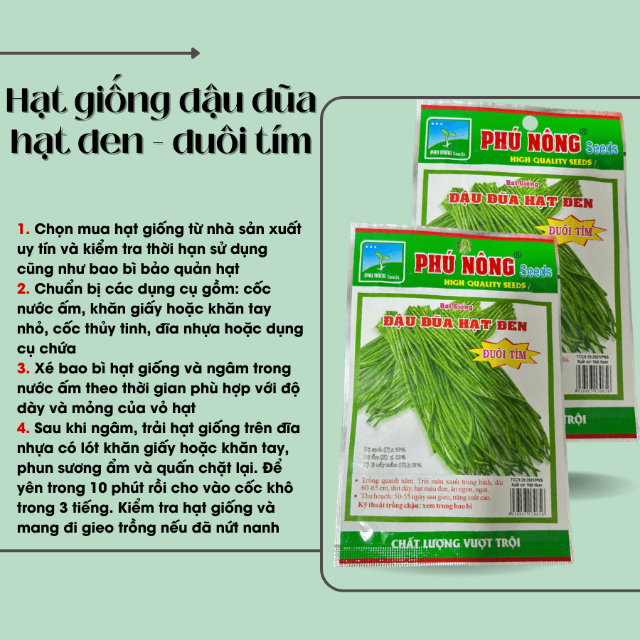 Hat Giong Dau Dua Hat Den Trai Dai (3)