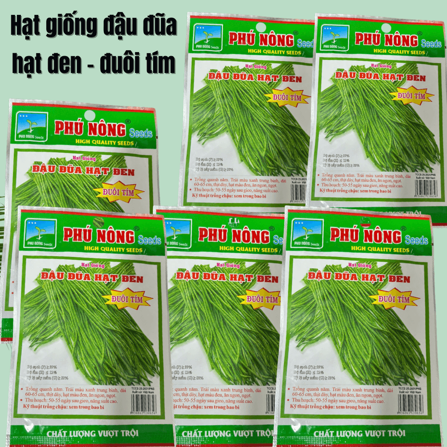 Hat Giong Dau Dua Hat Den Trai Dai (4)