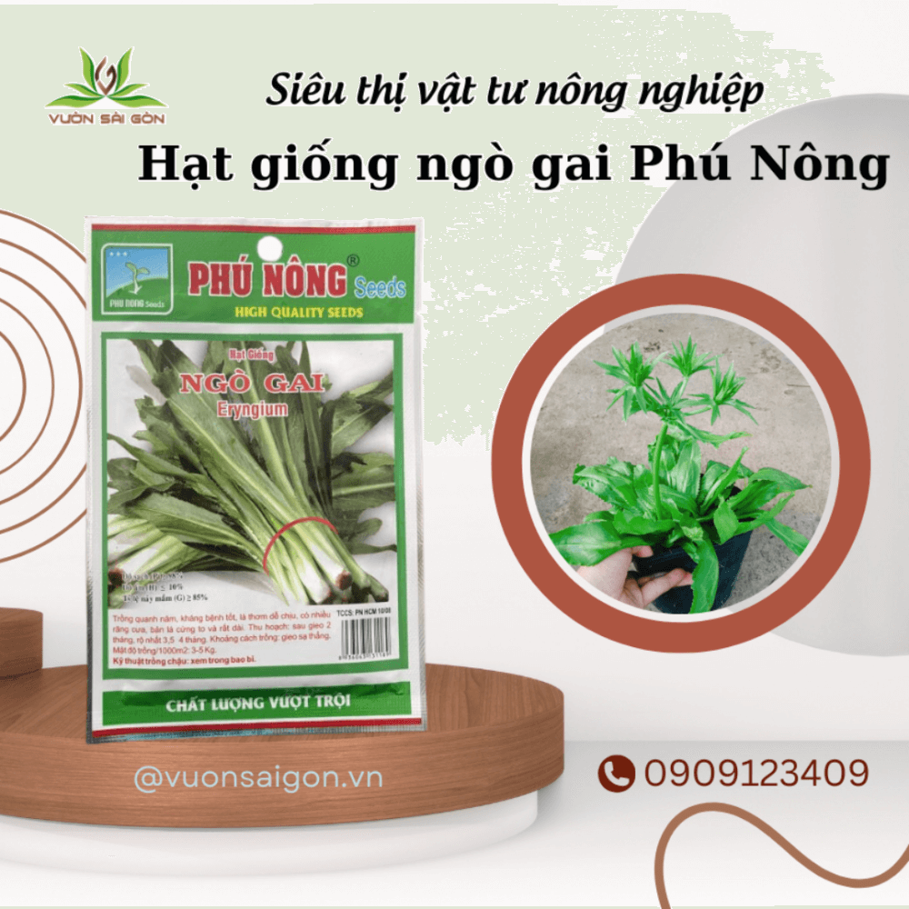 Hat Giong Ngo Gai