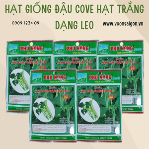 Hg Cove (2)