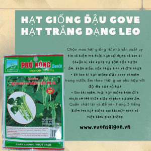 Hg Cove2