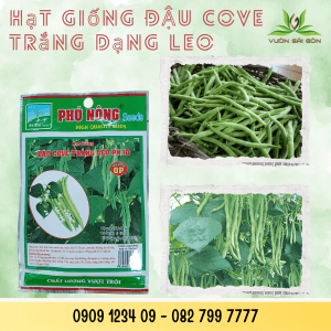 Hg Cove4