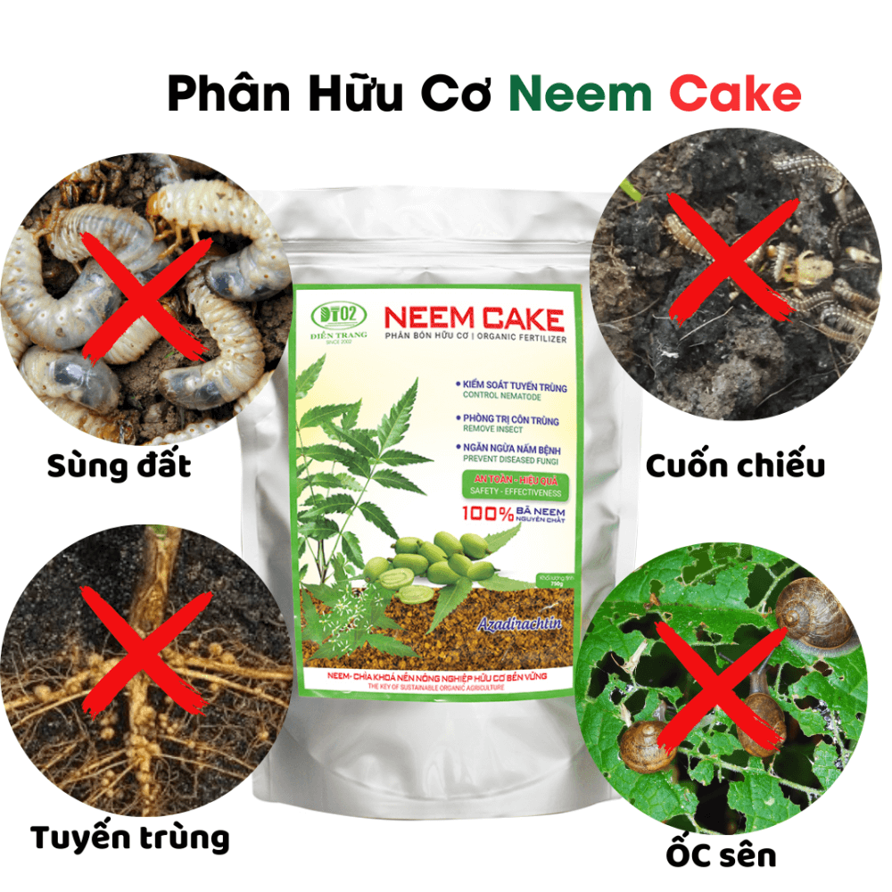 Phan Bon Hhu Co Nemcake