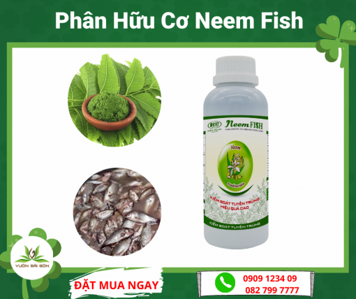 Phan Huu Co Neem Fish