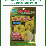 Van Tho Thai