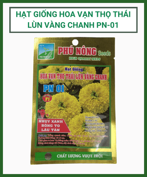 Van Tho Thai
