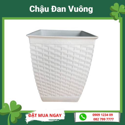 Chau Dan Vuong