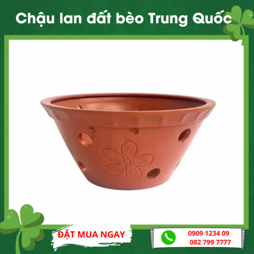 Chau Lan Dat Beo Trung Quoc